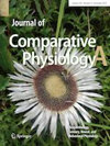 JOURNAL OF COMPARATIVE PHYSIOLOGY A-NEUROETHOLOGY SENSORY NEURAL AND BEHAVIORAL PHYSIOLOGY杂志封面